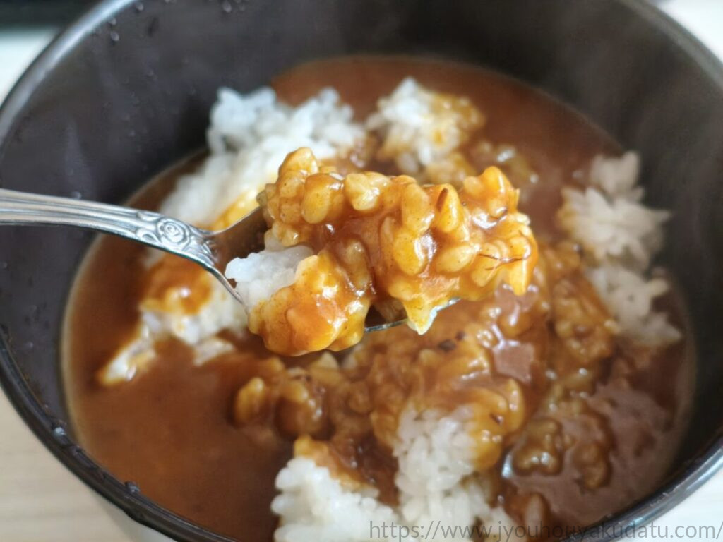 スプーンですくった無限ループカレーとご飯